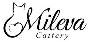 Mileva